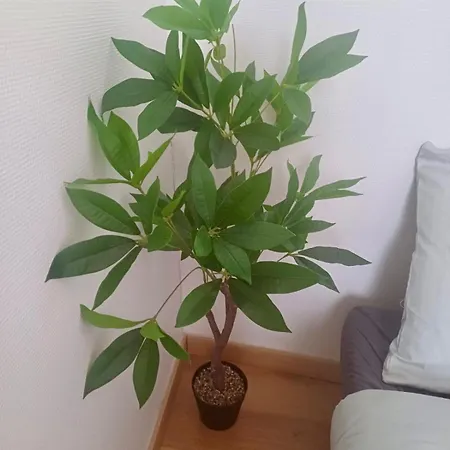 Le Minimaliste Apartment
