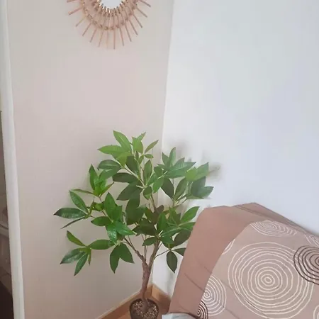 Apartment Le Minimaliste Pamiers